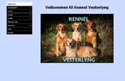 kennel-vesterlyng