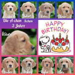 A Wurf Geburtstag A Wurf Geburtstag