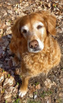 Nash 15 Jahre Nash 15 Jahre