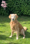 Nigel 15 Jahre Nigel 15 Jahre
