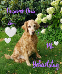 Onia 14 Jahre Onia 14 Jahre