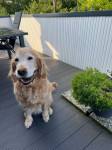 Sam Albus 10 Jahre Sam Albus 10 Jahre
