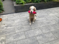 Sir Eros 10 Jahre Sir Eros 10 Jahre