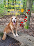 Sunny 10 Jahre Sunny 10 Jahre