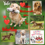 Yule 5 Jahre Yule 5 Jahre